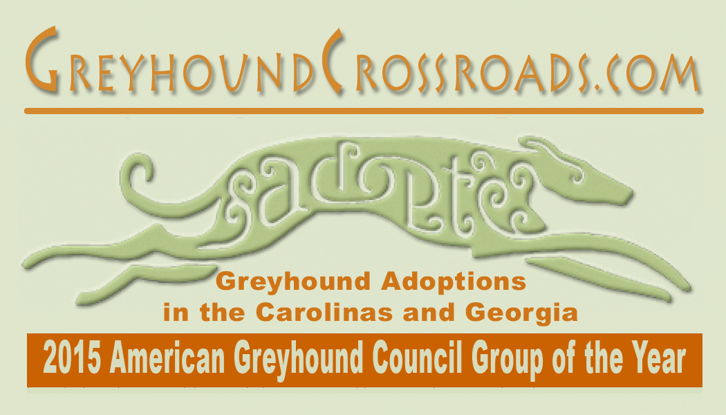 Greyhound Crossroads Volunteer Opportunities
